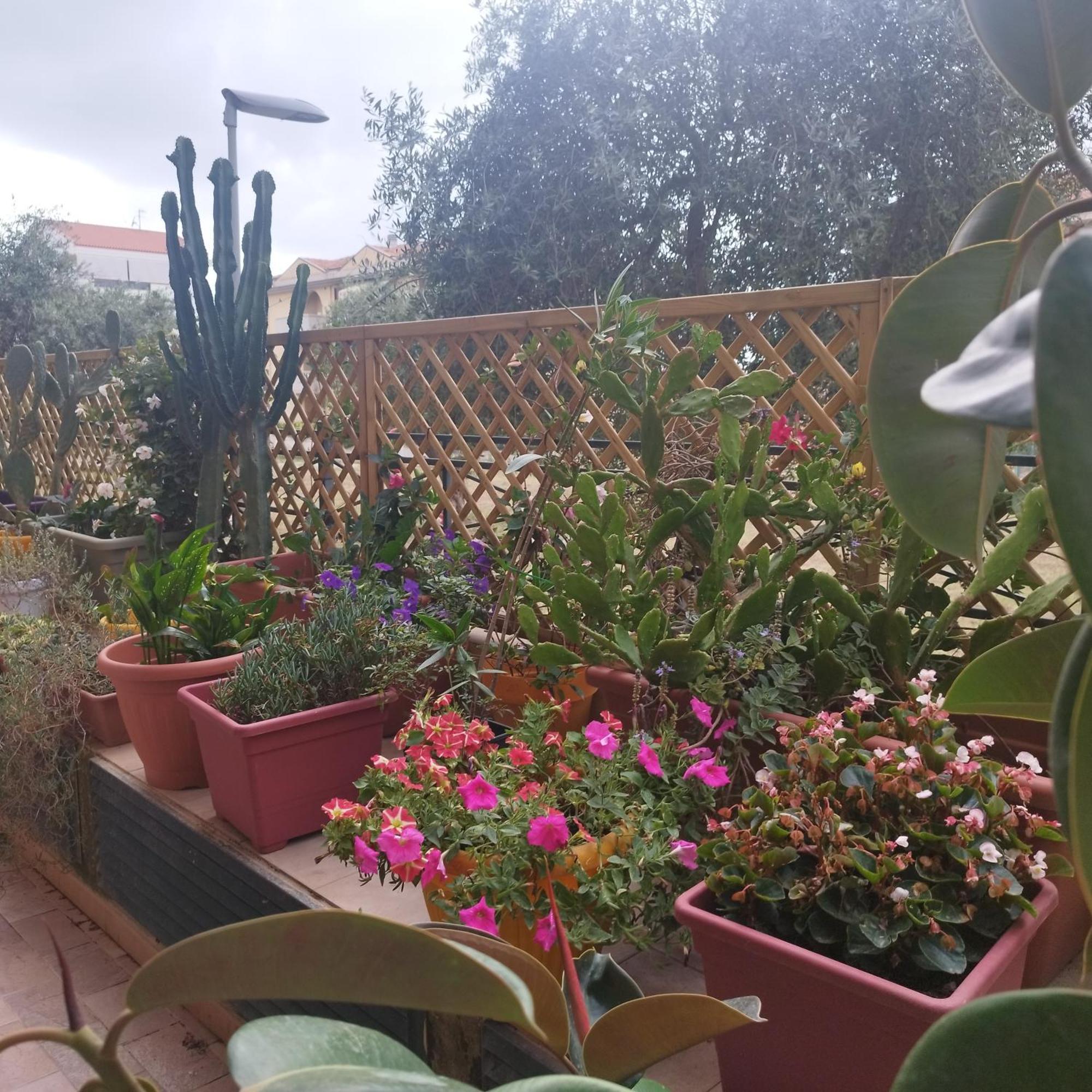 Alghero Lovely Flat Apartment ภายนอก รูปภาพ