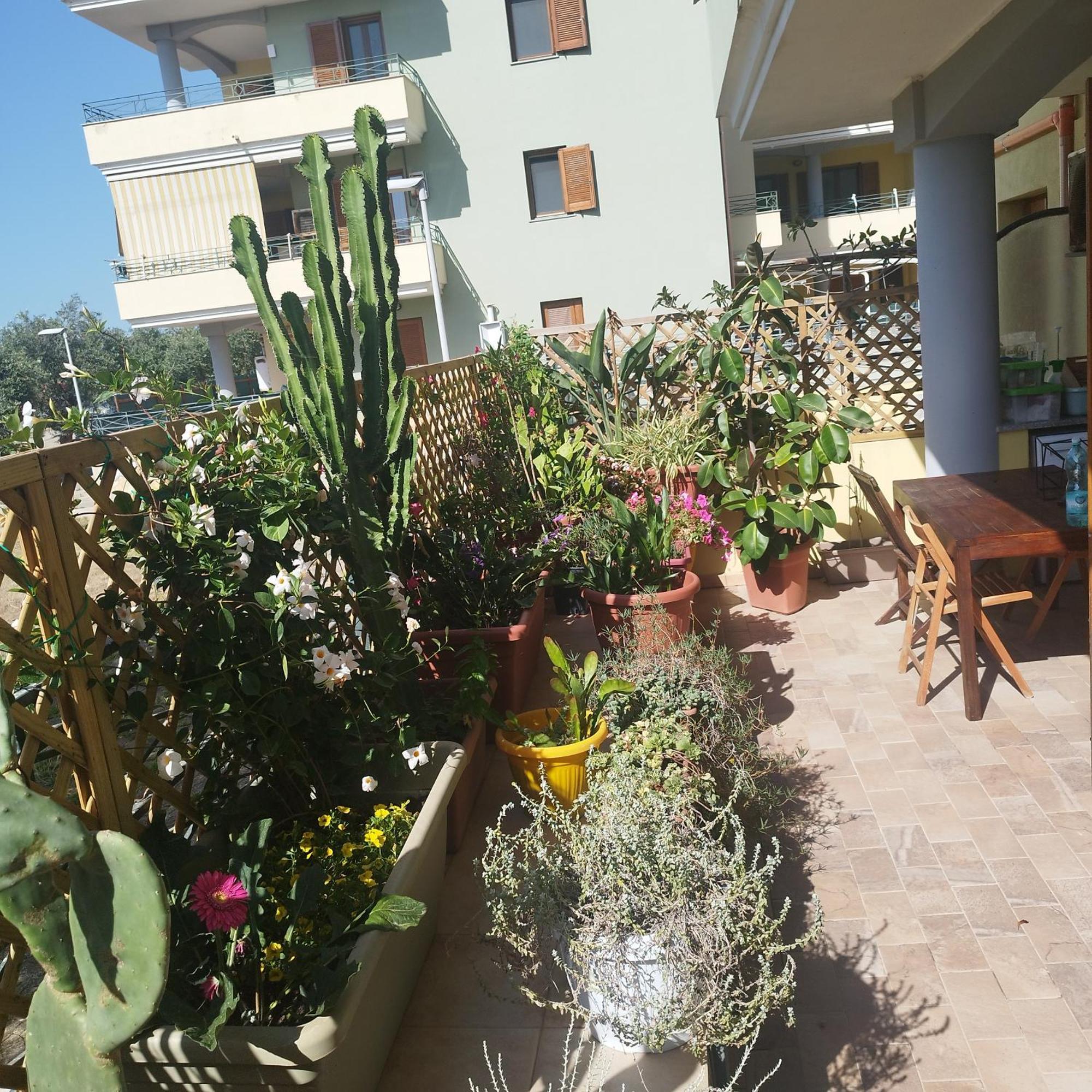 Alghero Lovely Flat Apartment ภายนอก รูปภาพ